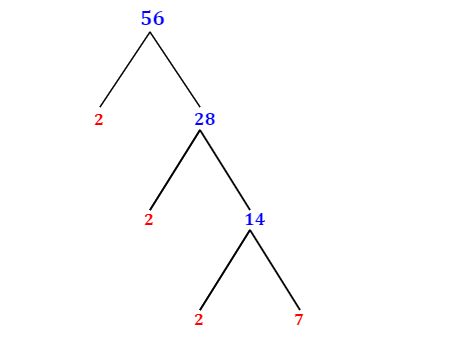 Prime Factorization of 56 with a Factor Tree - MathOnDemand.com